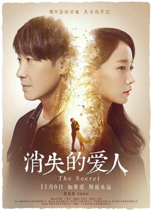 仿制假爱尔兰护照
